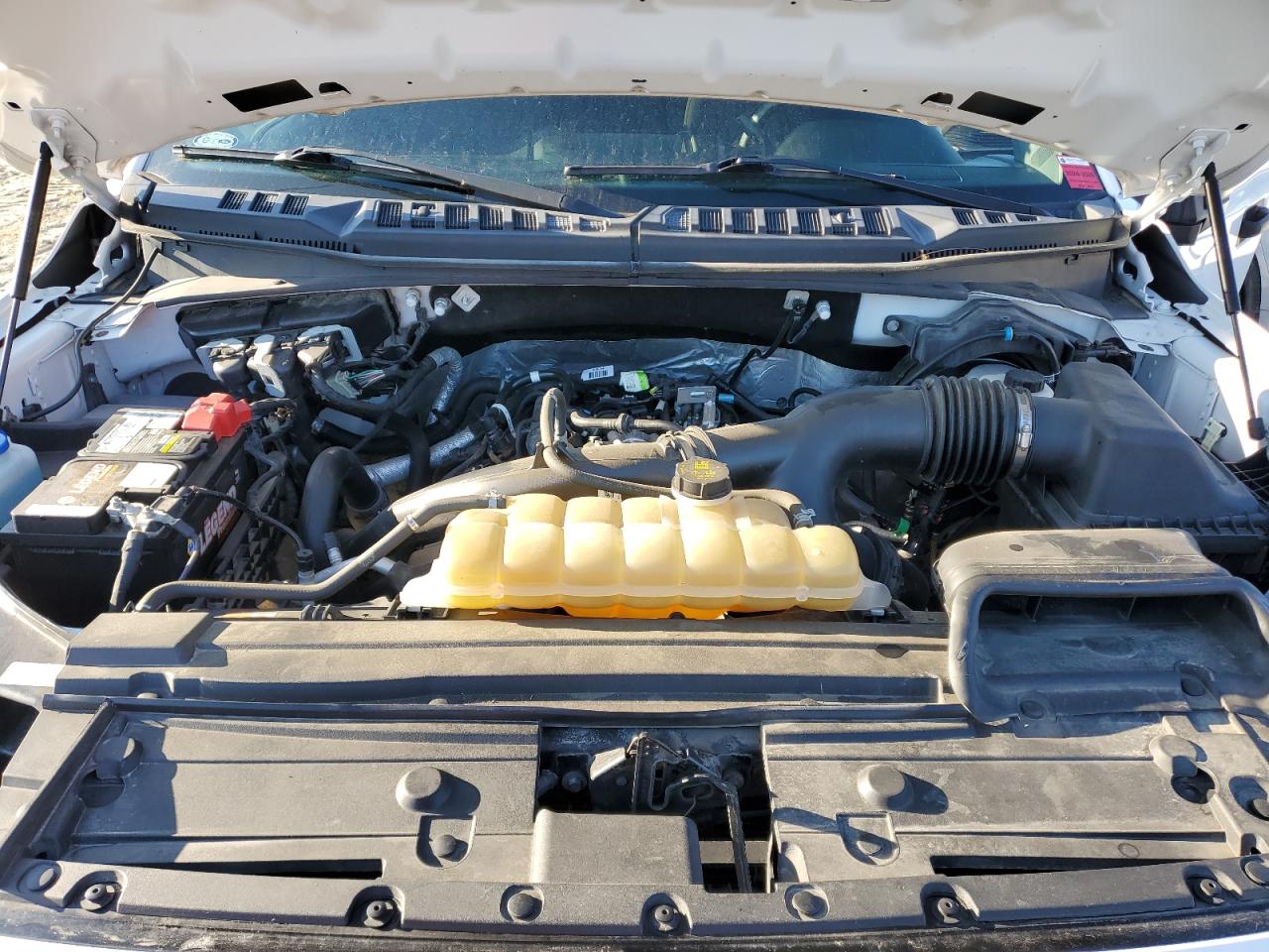 2019 Ford F-150 VIN 1FTEW1EP0KKC95351 Copart auction photo, side damage thumbnail 11