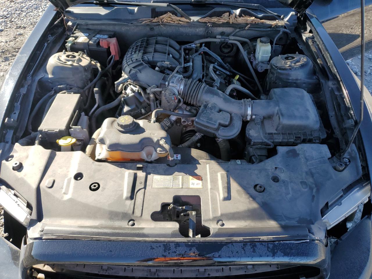 2014 Ford Mustang VIN 1ZVBP8AM3E5255852 Copart auction photo, front end / undercarriage damage thumbnail 12
