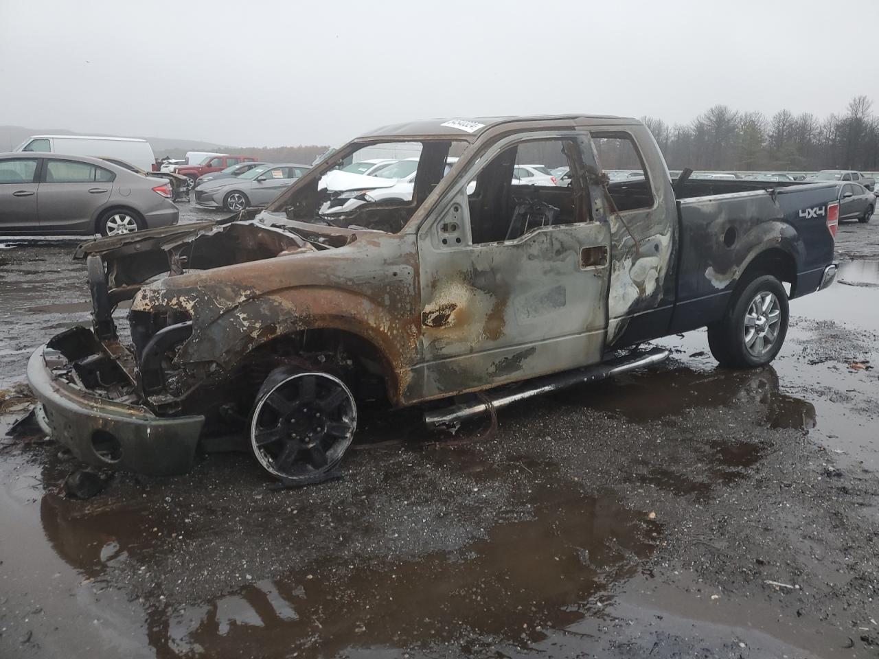 2013 Ford F-150 VIN 1FTFX1ET1DKG48634