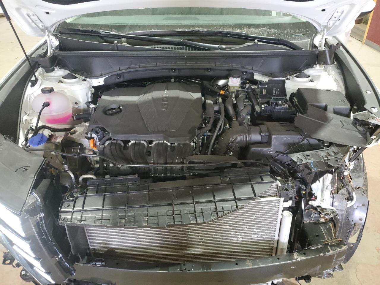2024 Hyundai Tucson VIN 5NMJBCDE2RH428932 Copart auction photo, front end / minor dent/scratches damage thumbnail 12