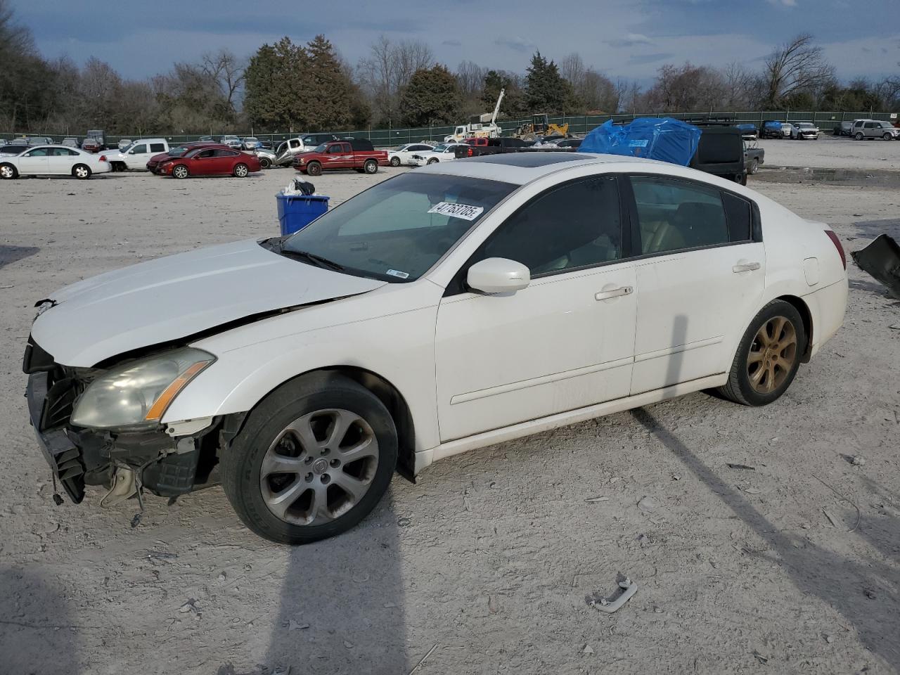 2007 Nissan Maxima VIN 1N4BA41EX7C817000