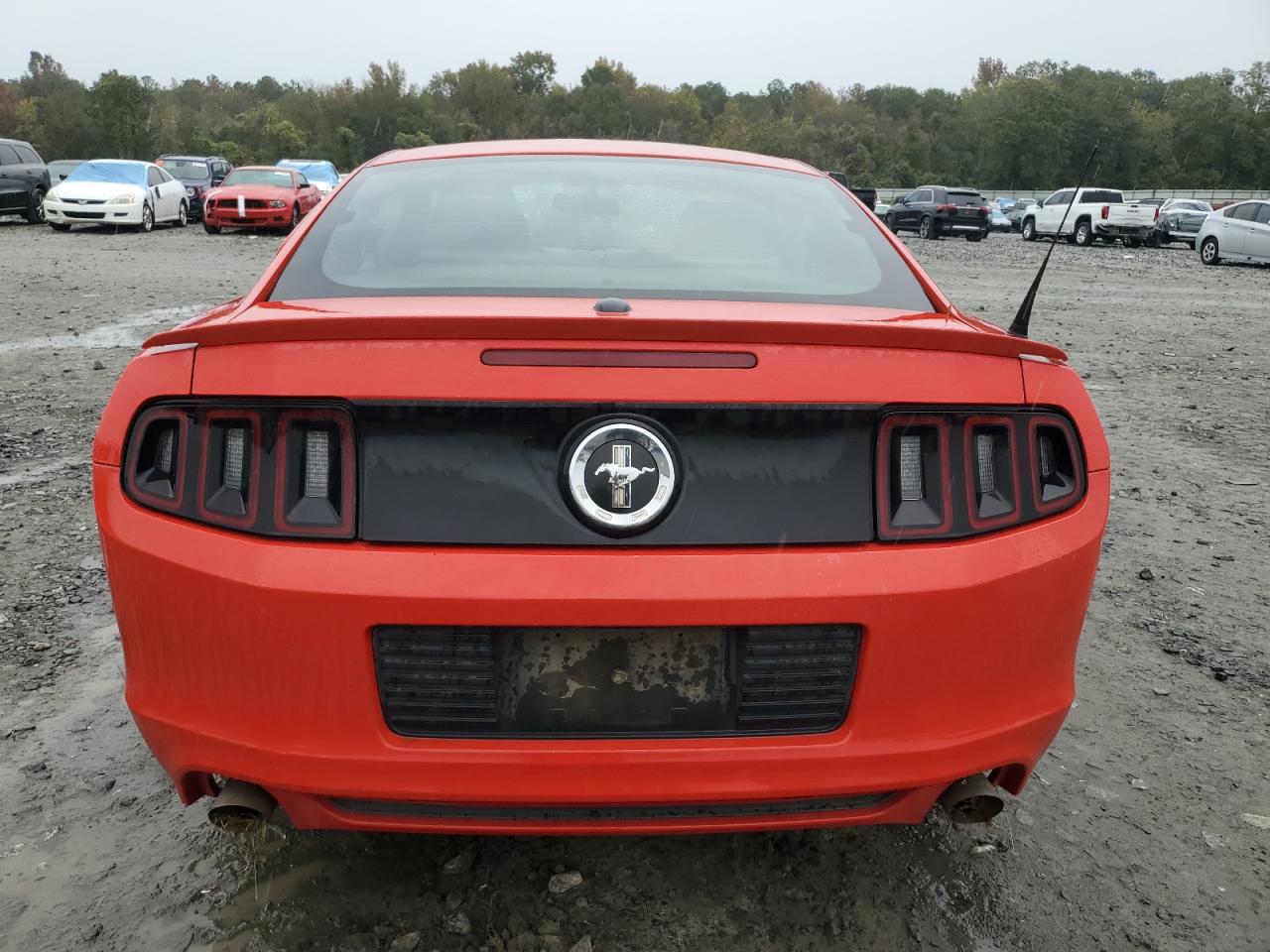 2013 Ford Mustang VIN 1ZVBP8AM5D5231020 Copart auction photo, front end / side damage thumbnail 6