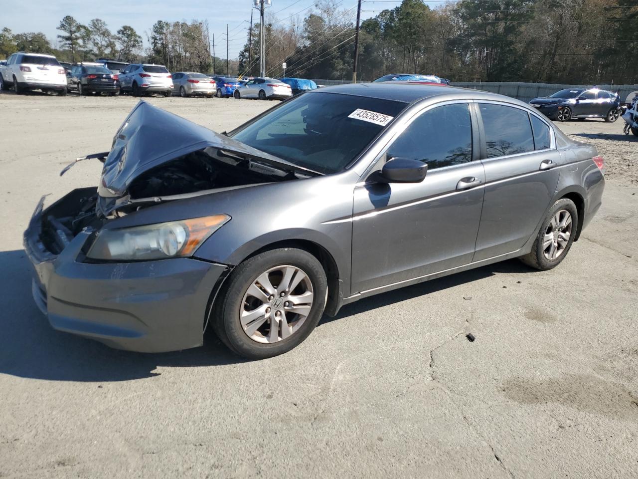 2012 Honda Accord VIN 1HGCP2F6XCA236199