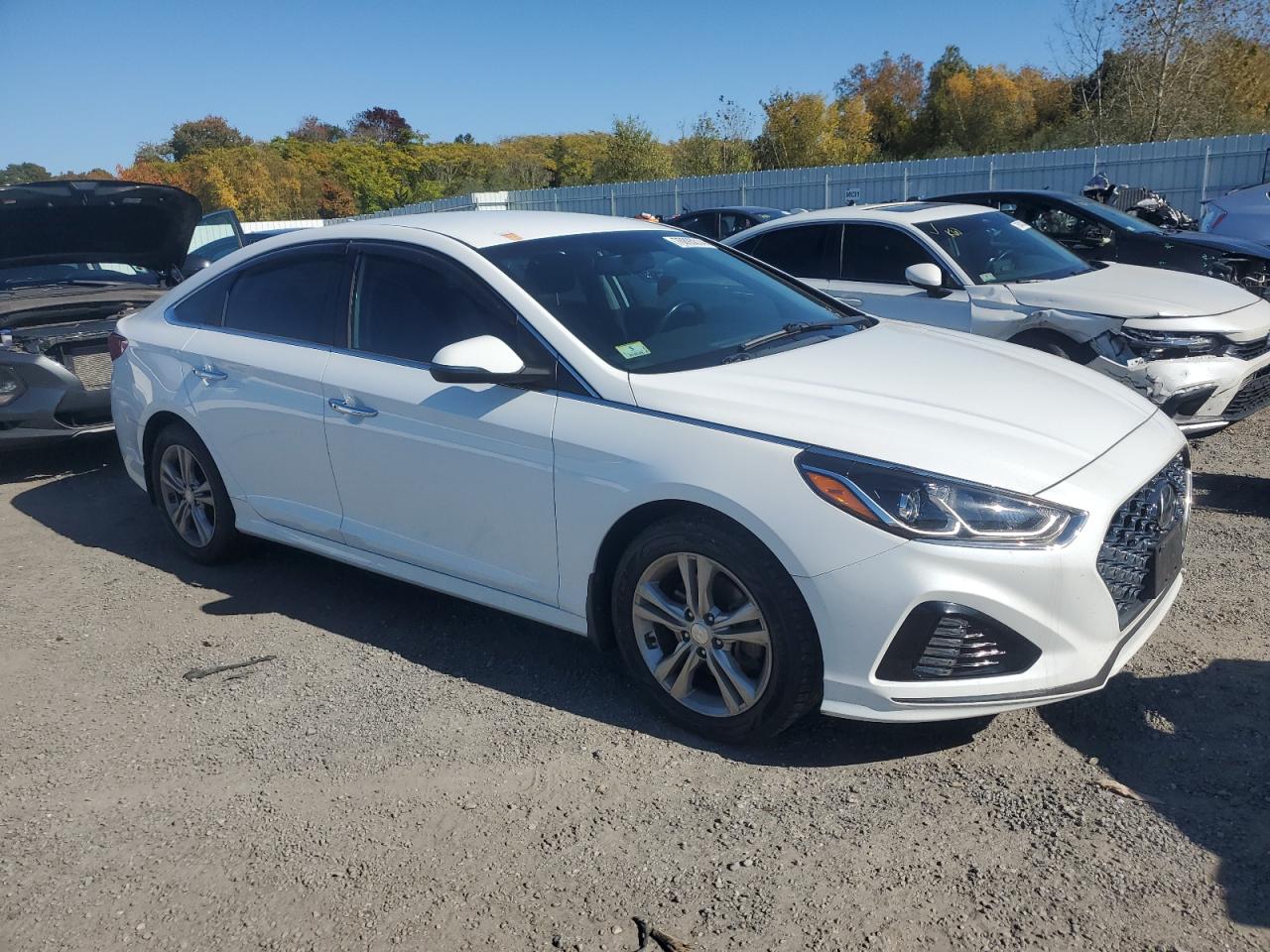 2019 Hyundai Sonata VIN 5NPE34AF8KH781556 Copart auction photo, rear end / minor dent/scratches damage thumbnail 4
