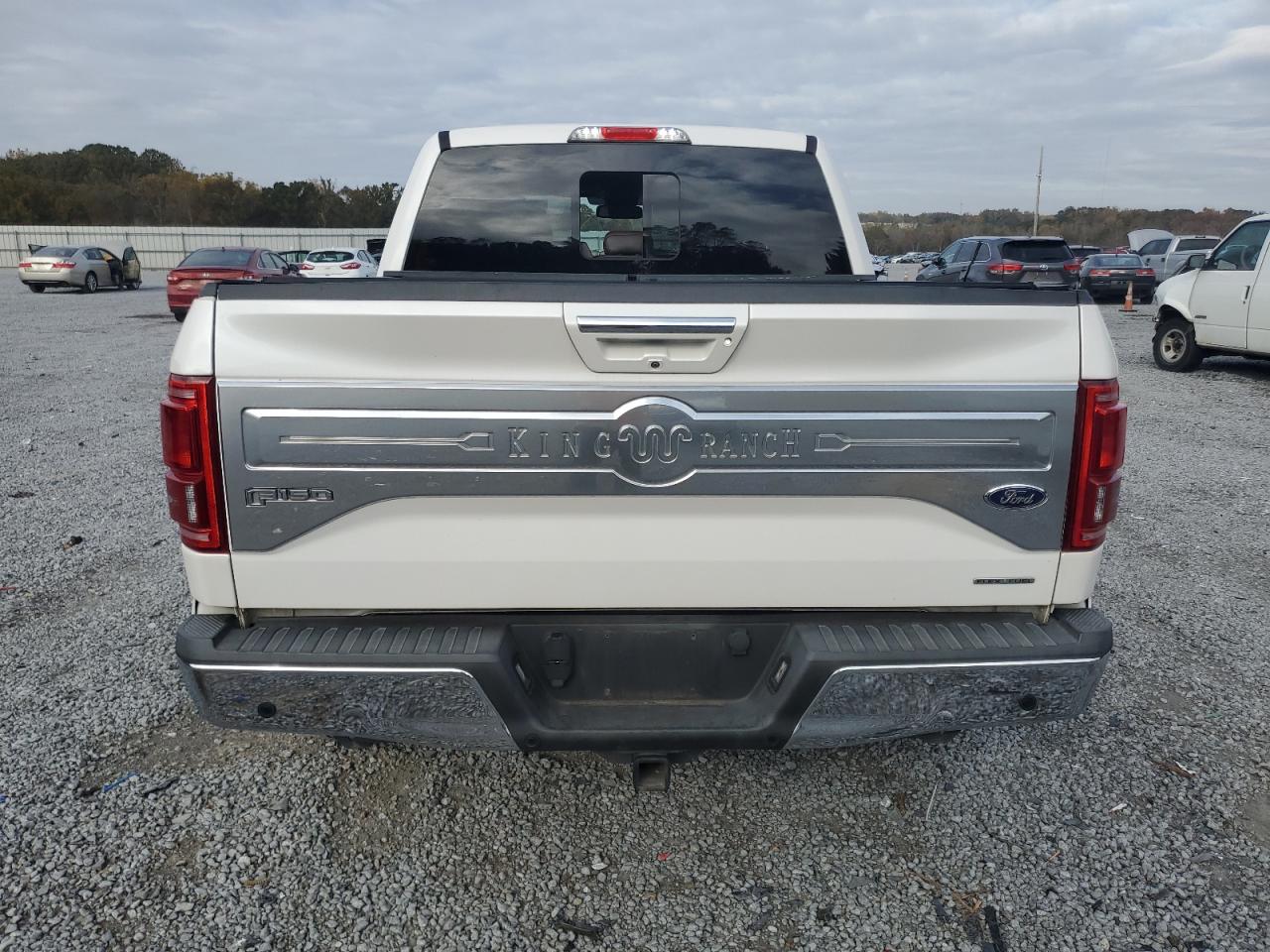 2015 Ford F-150 VIN 1FTEW1EF1FFB37610 Copart auction photo, hail damage thumbnail 6