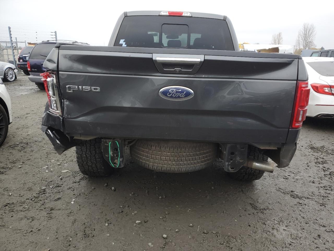 2016 Ford F-150 VIN 1FTEW1EG4GFA64629 Copart auction photo, rear end damage thumbnail 6