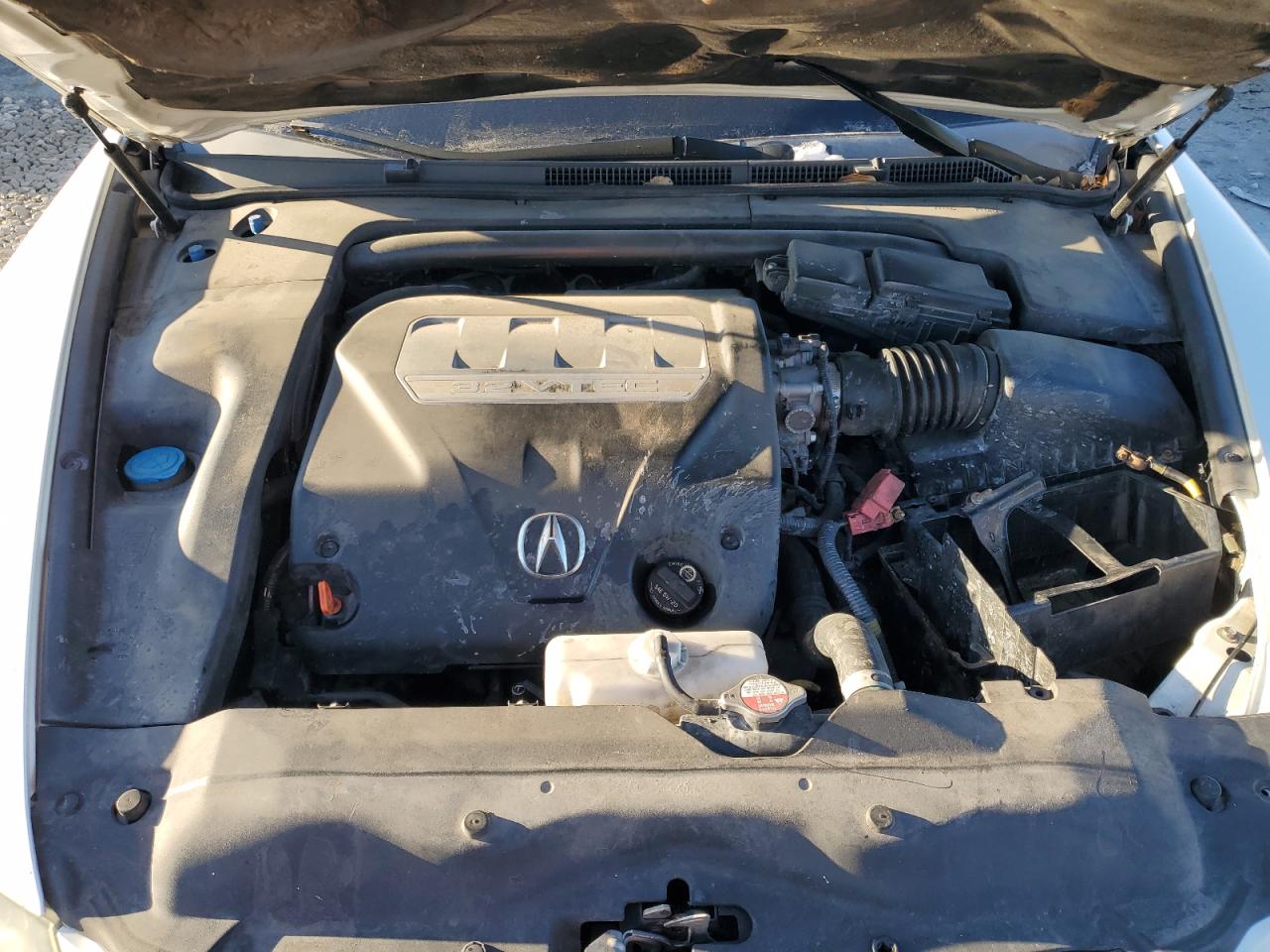 2008 Acura TL VIN 19UUA66288A008994 Copart auction photo, rear end damage thumbnail 12