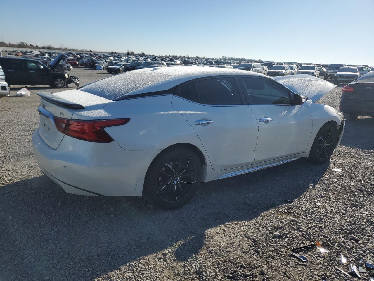 2016 Nissan Maxima VIN 1N4AA6AP6GC905583 Copart auction photo, front end damage thumbnail 3