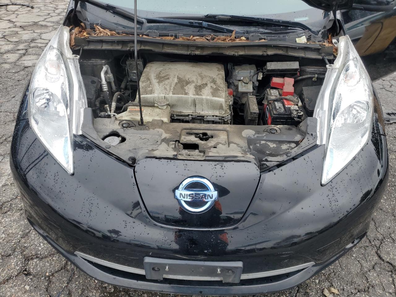 2016 Nissan Leaf VIN 1N4AZ0CP6GC305861 Copart auction photo, minor dent/scratches damage thumbnail 11