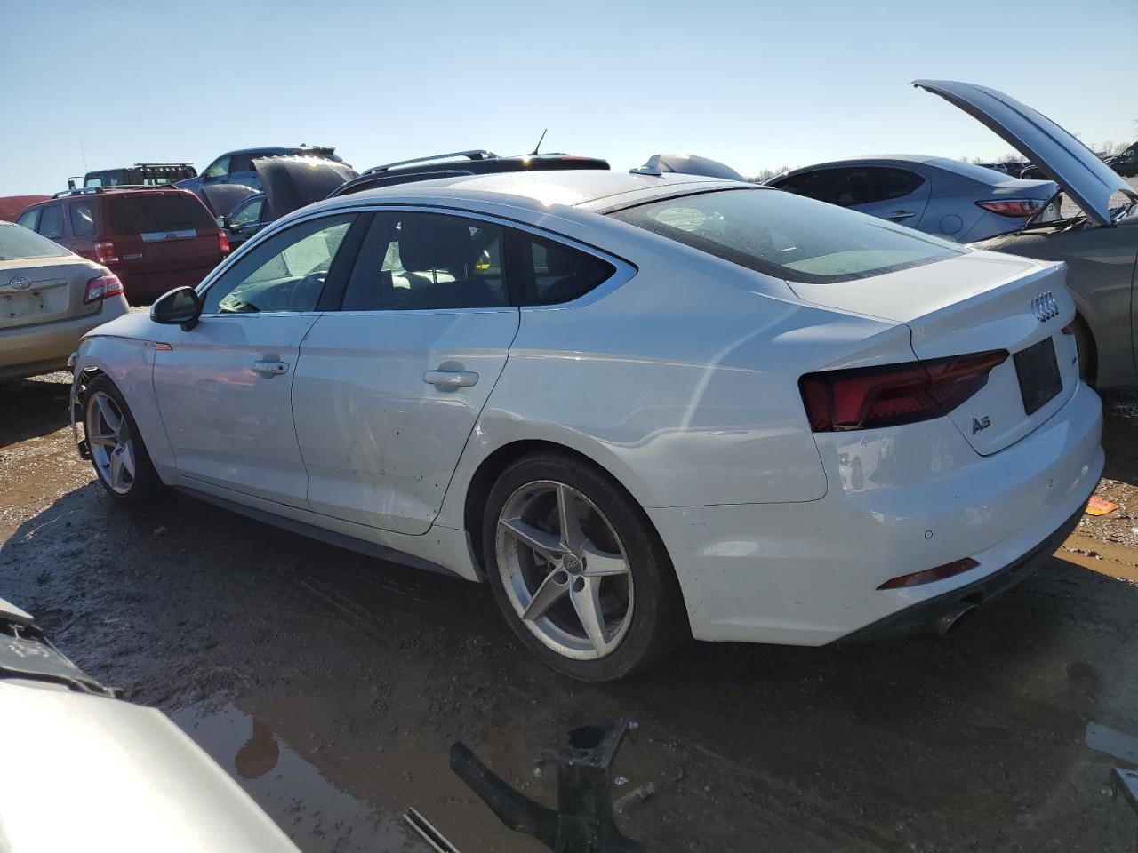2019 Audi A5 VIN WAUENCF56KA077381 Copart auction photo, front end damage thumbnail 2
