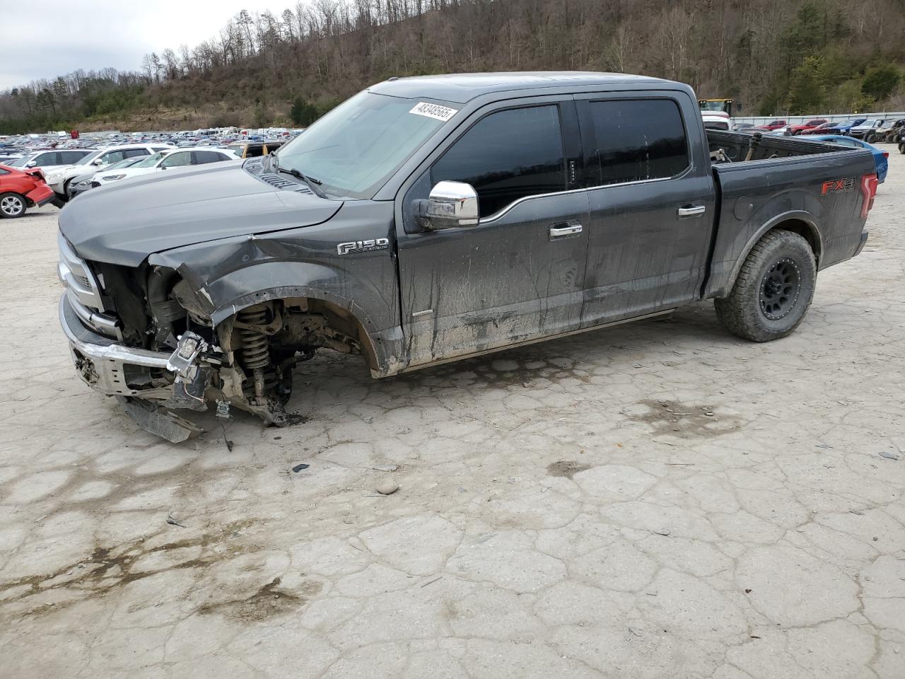2015 Ford F-150 VIN 1FTEW1EG2FFB19335