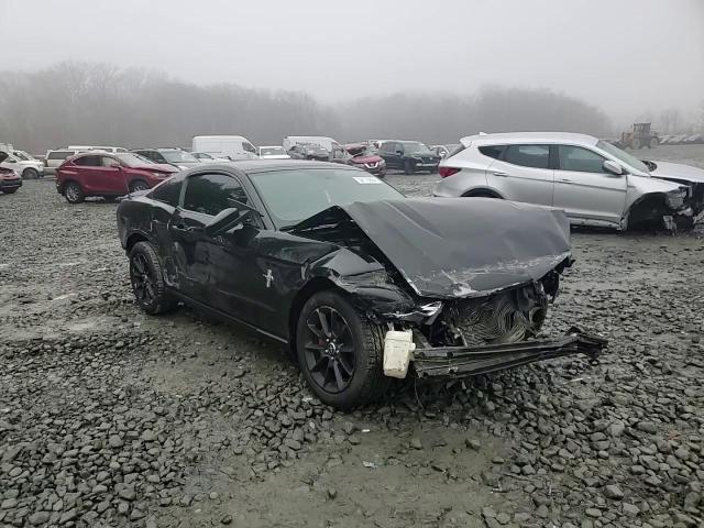 2010 Ford Mustang VIN 1ZVBP8AN1A5163688 Copart auction photo, all over damage thumbnail 10