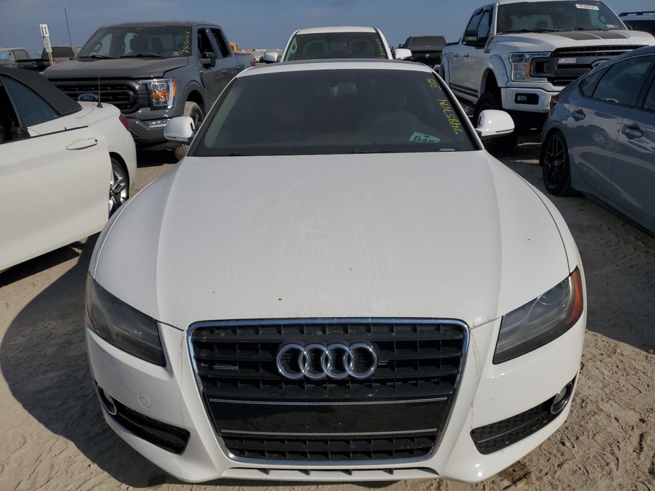 2009 Audi A5 VIN WAUDK78T19A028316 Copart auction photo, water/flood damage thumbnail 5