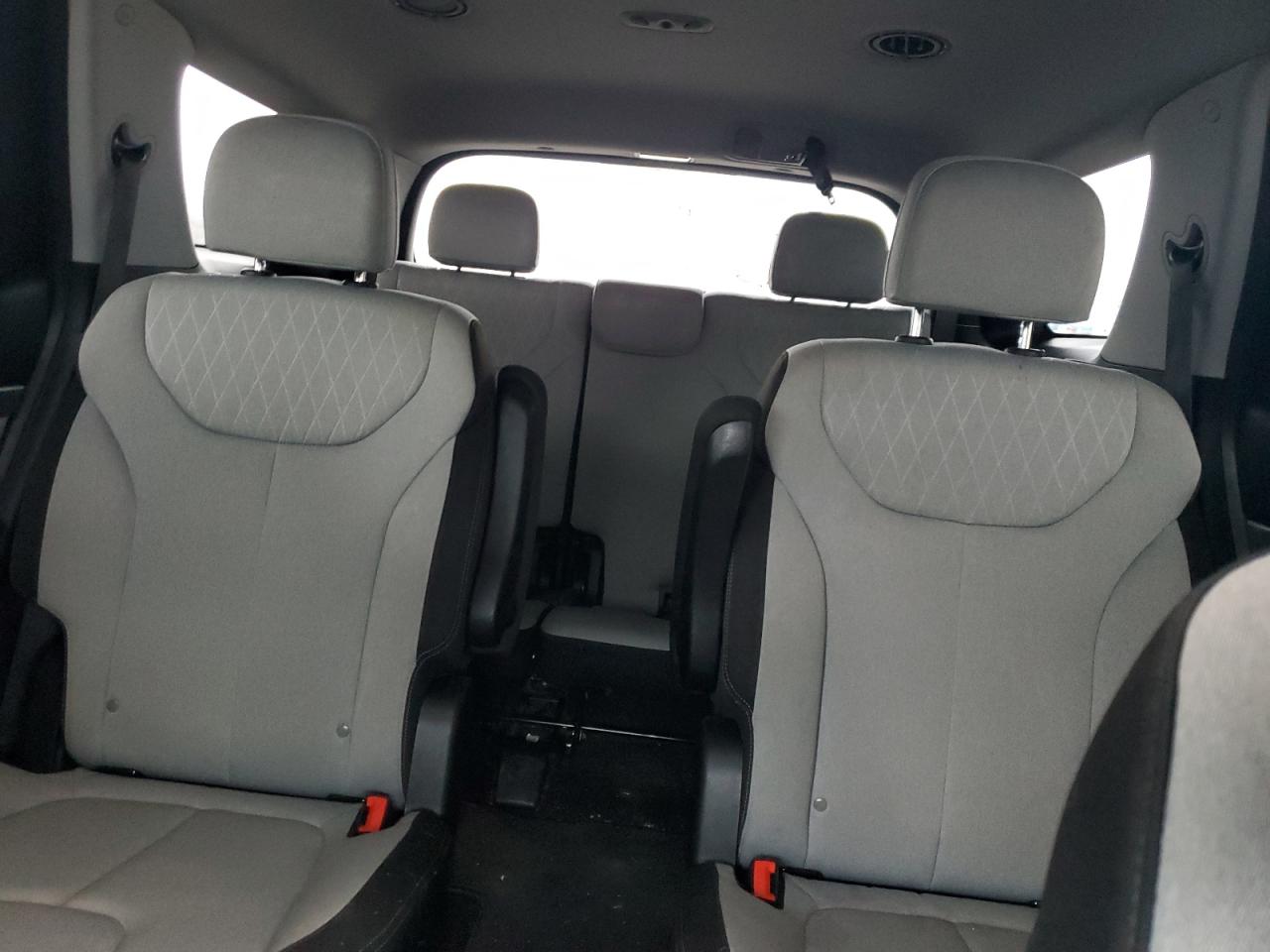 2020 Hyundai Palisade VIN KM8R3DHE3LU105338 Copart auction photo, front end damage thumbnail 10