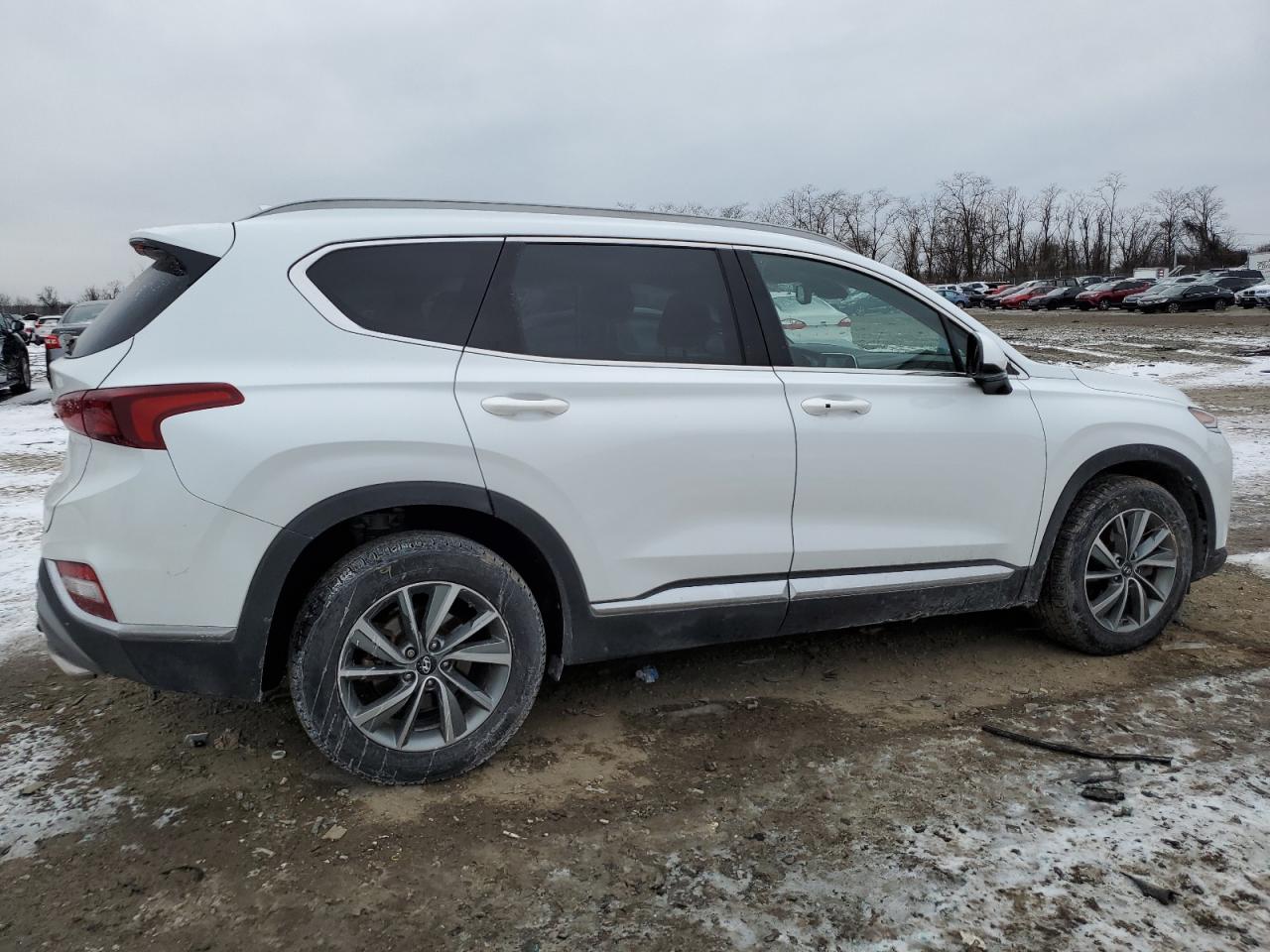 2019 Hyundai Santa Fe VIN 5NMS33AD1KH055952 Copart auction photo, side damage thumbnail 3