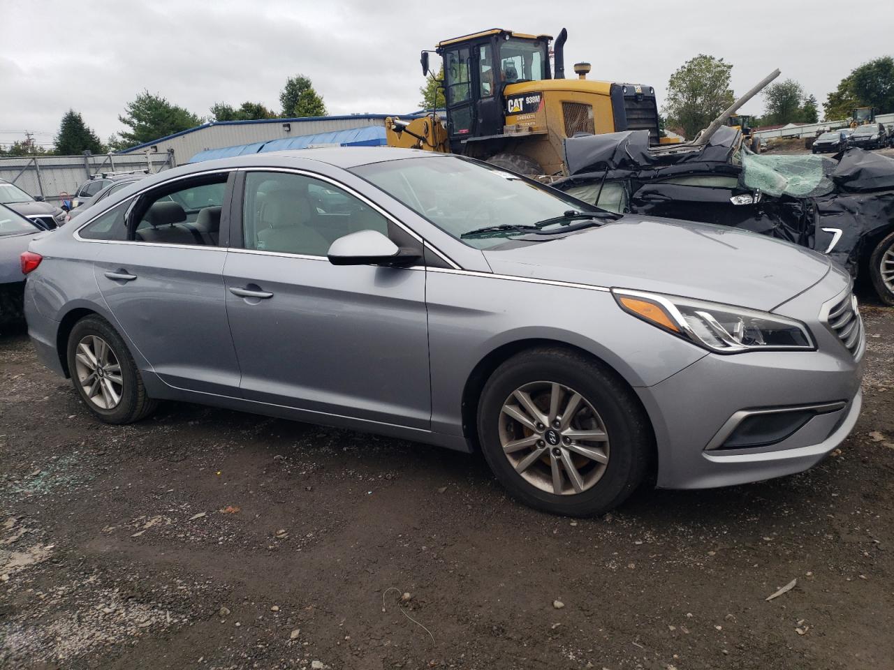 2016 Hyundai Sonata VIN 5NPE24AF2GH422200 Copart auction photo, vandalism / side damage thumbnail 4