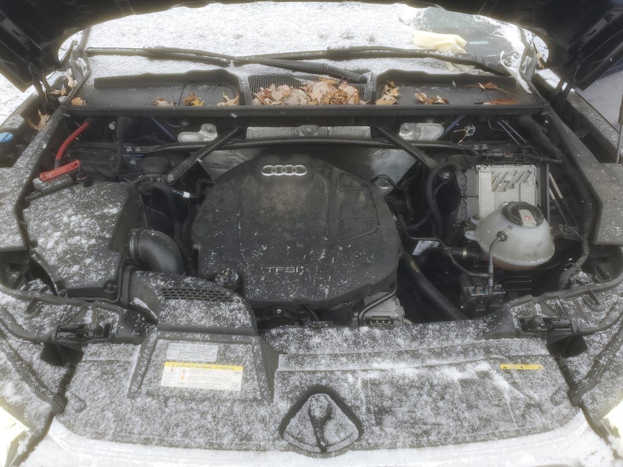 2019 Audi Q5 VIN WA1CNAFY0K2027329 Copart auction photo, rear end damage thumbnail 13