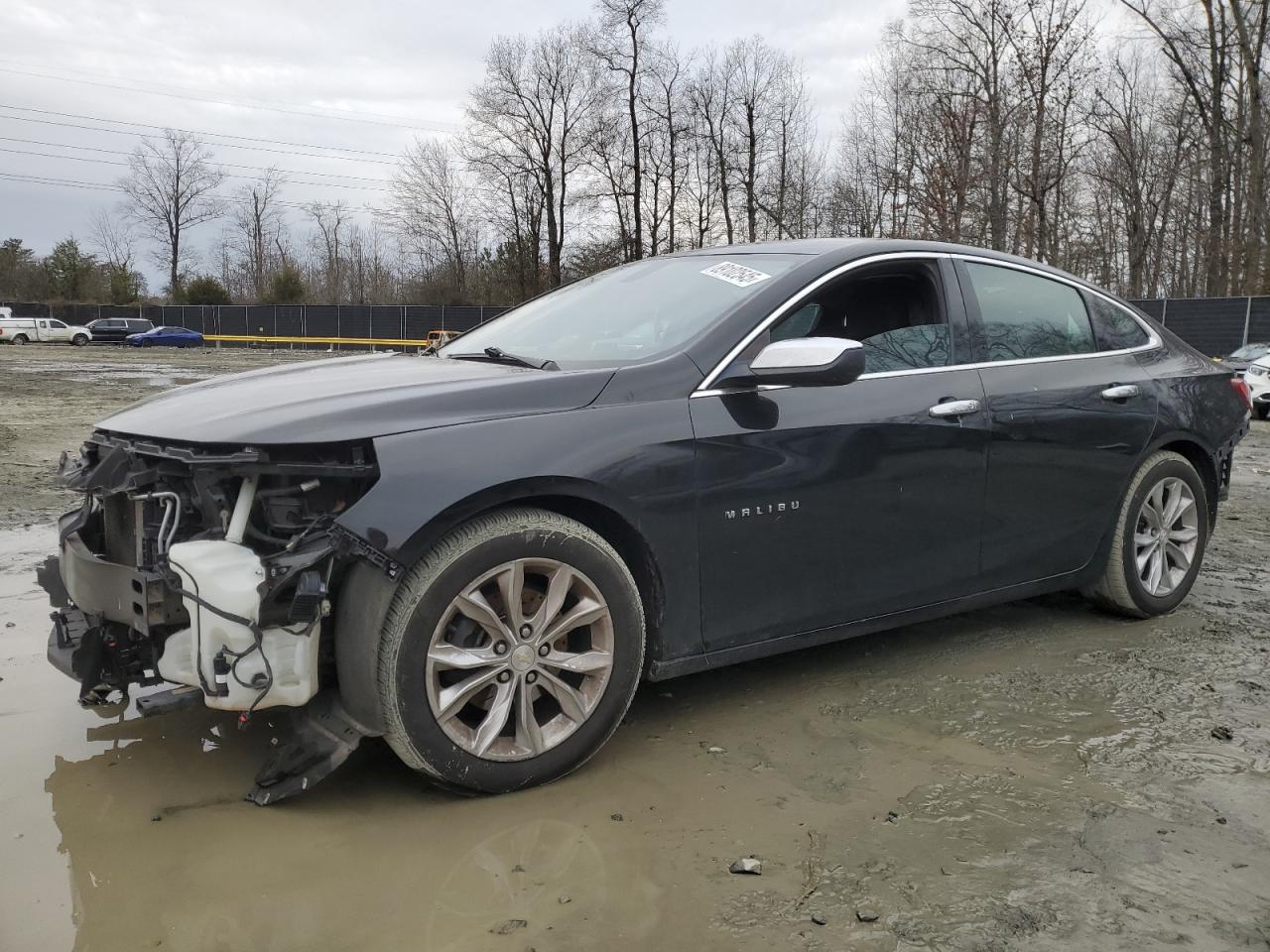 2019 Chevrolet Malibu VIN 1G1ZD5ST9KF148527
