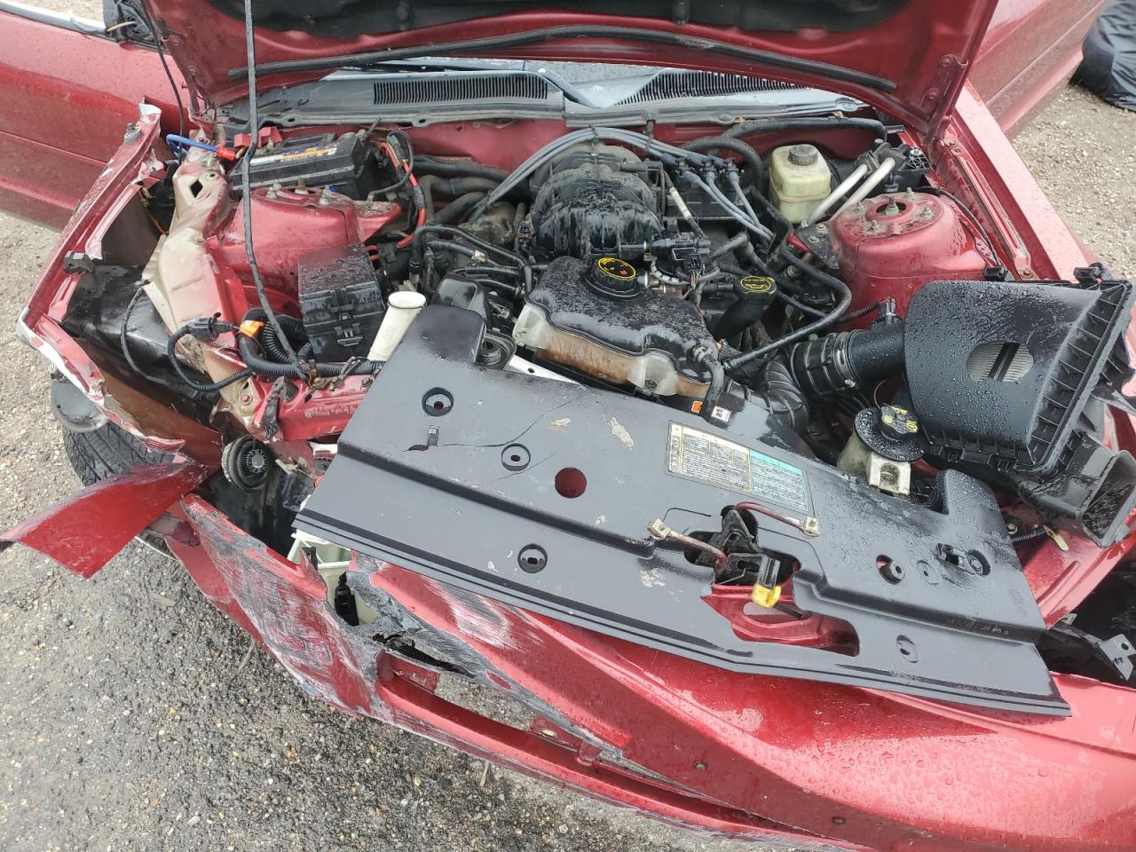 2005 Ford Mustang VIN 1ZVFT84NX55199880 Copart auction photo, all over damage thumbnail 12