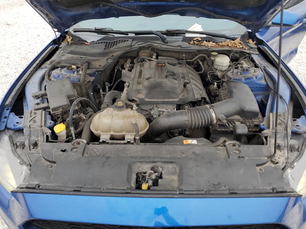2017 Ford Mustang VIN 1FA6P8TH5H5249954 Copart auction photo, rear end damage thumbnail 11