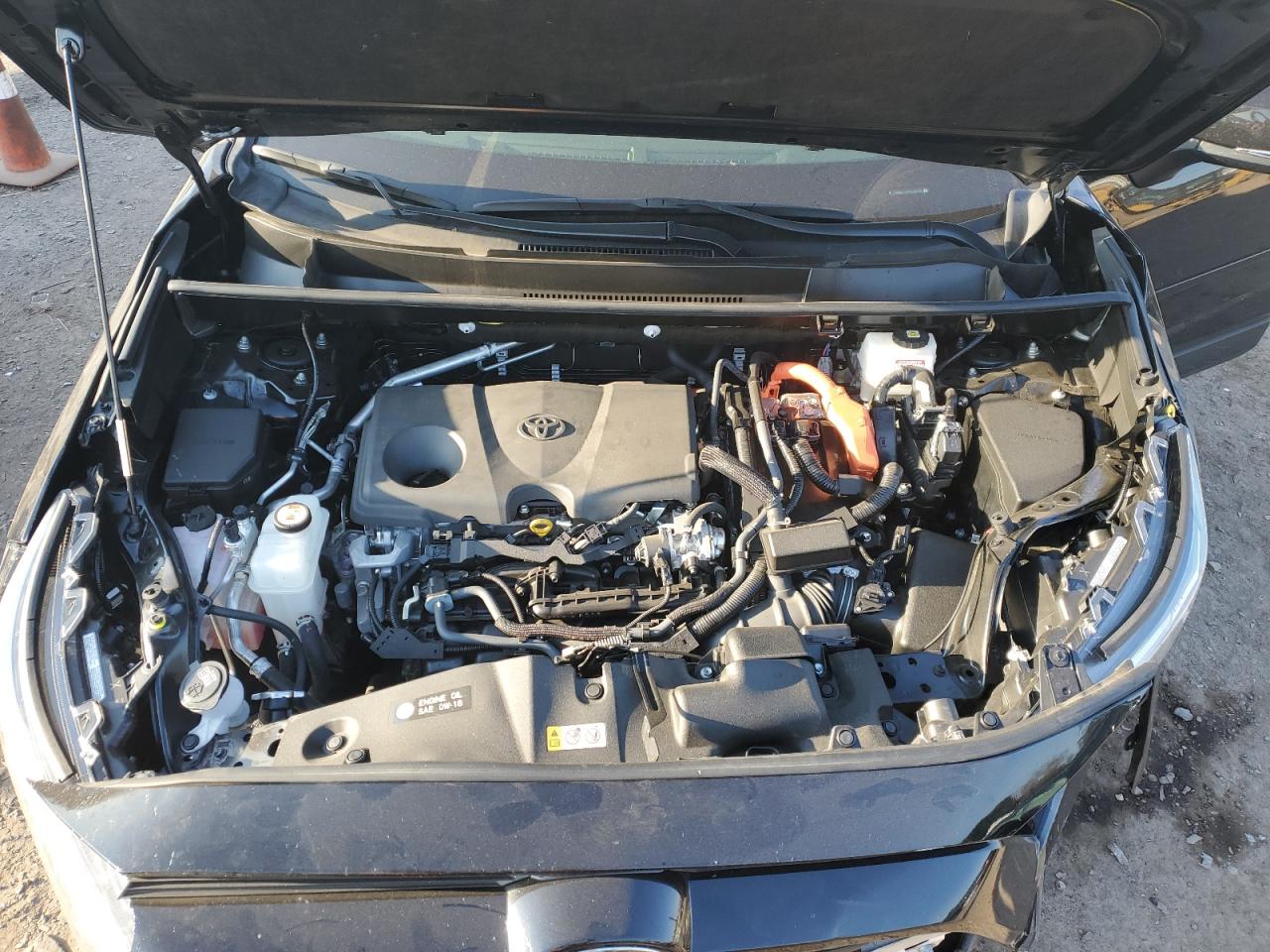 2023 Toyota RAV 4 VIN JTMRWRFV9PD183849 Copart auction photo, front end damage thumbnail 13