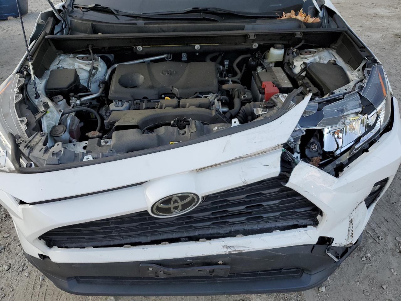 2019 Toyota RAV 4 VIN JTMP1RFV7KJ014669 Copart auction photo, front end damage thumbnail 12