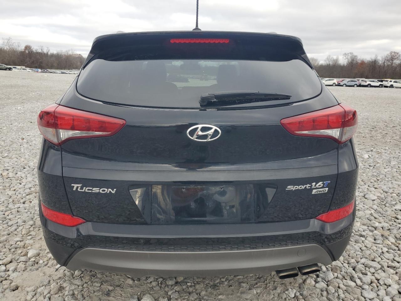 2016 Hyundai Tucson VIN KM8J3CA28GU224208 Copart auction photo, minor dent/scratches damage thumbnail 6