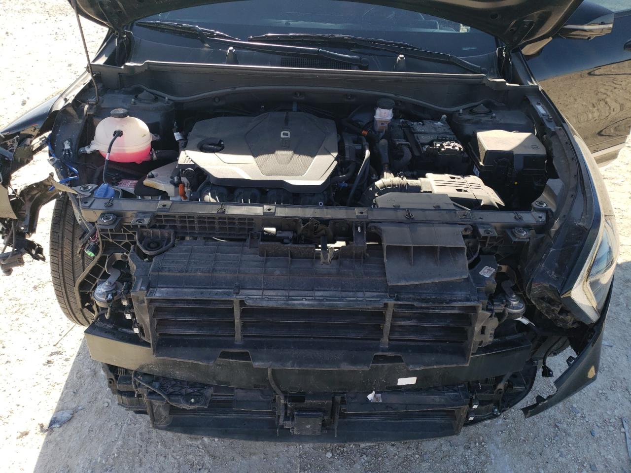 2023 KIA Sportage VIN 5XYK53AF0PG114423 Copart auction photo, front end damage thumbnail 12