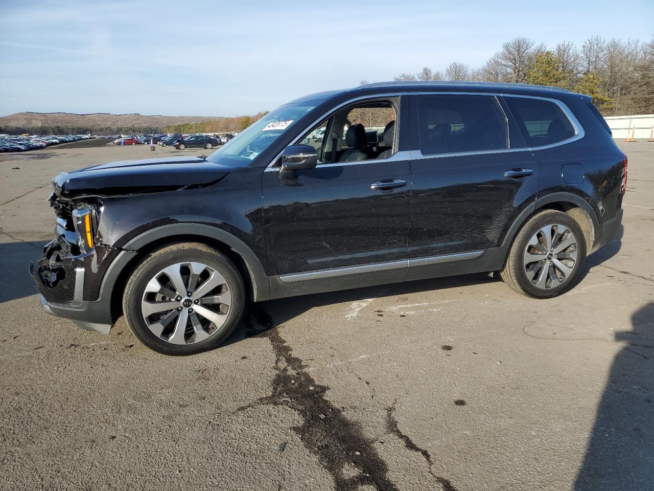 2021 KIA Telluride VIN 5XYP6DHC3MG167505