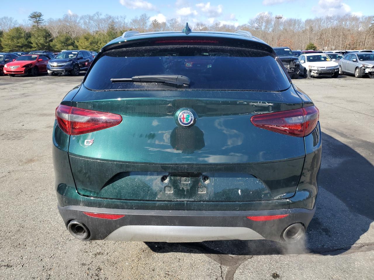 2019 Alfa Romeo Stelvio VIN ZASPAKAN4K7C30319 Copart auction photo, front end / rear end damage thumbnail 6