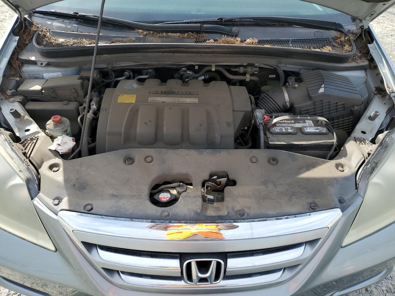 2007 Honda Odyssey VIN 5FNRL386X7B143459 Copart auction photo, side damage thumbnail 12