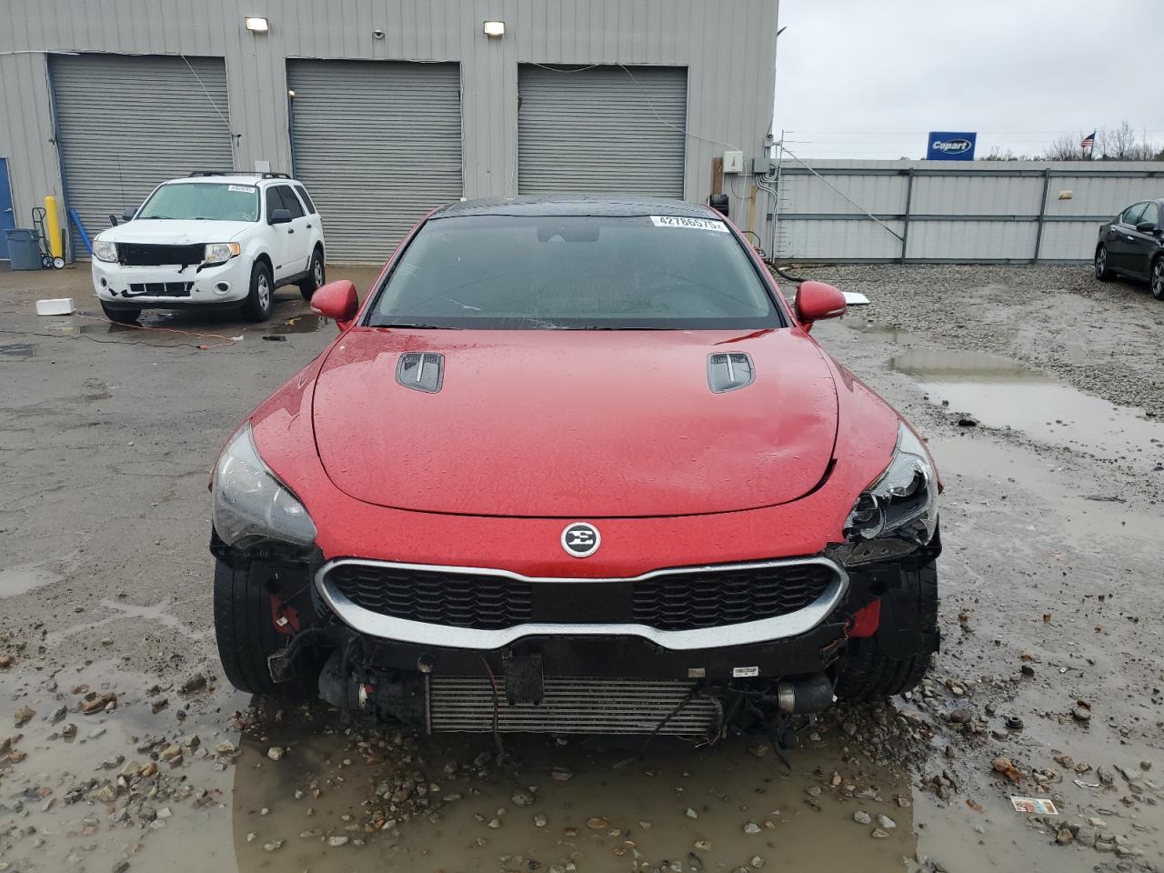 2019 KIA Stinger VIN KNAE25LA0K6059810 Copart auction photo, front end / side damage thumbnail 5
