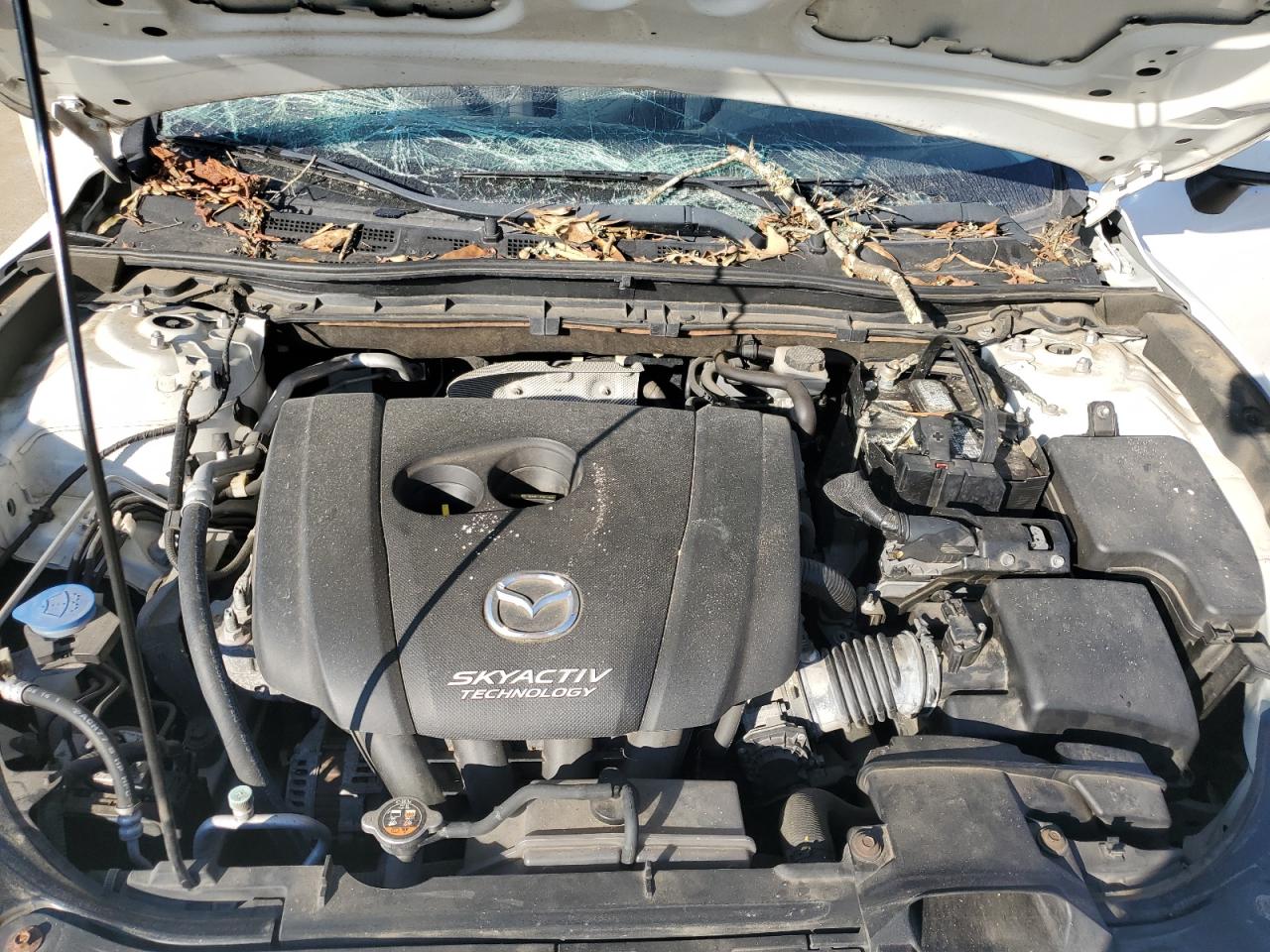 2014 Mazda 3 VIN JM1BM1L72E1192096 Copart auction photo, hail / front end damage thumbnail 11