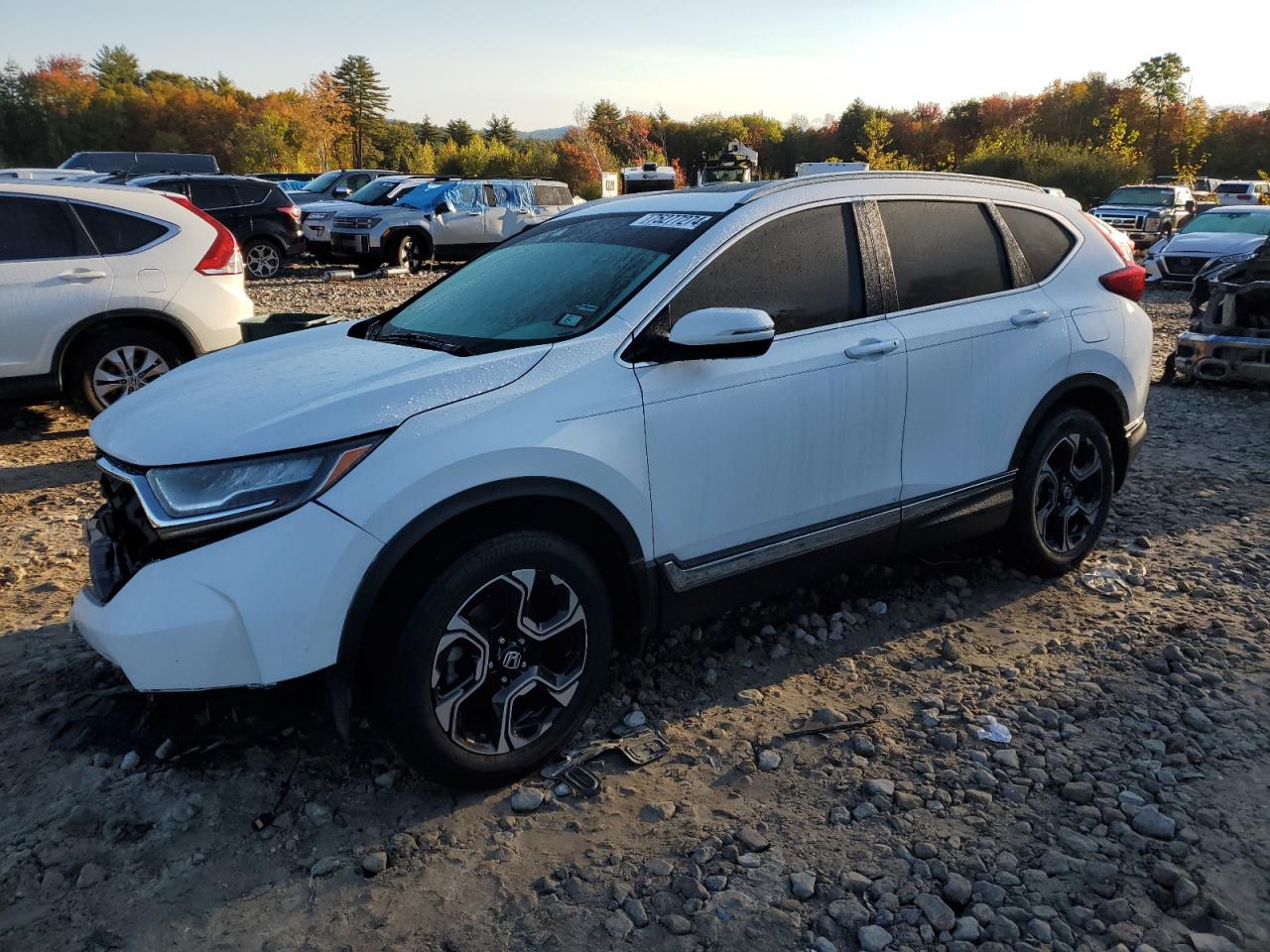 2019 Honda CR-V VIN 2HKRW1H98KH504073