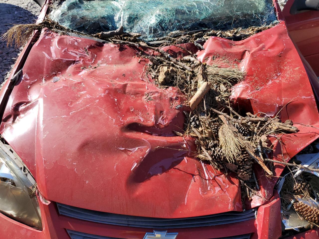 2009 Chevrolet Cobalt VIN 1G1AT58HX97234601 Copart auction photo, top/roof damage thumbnail 11