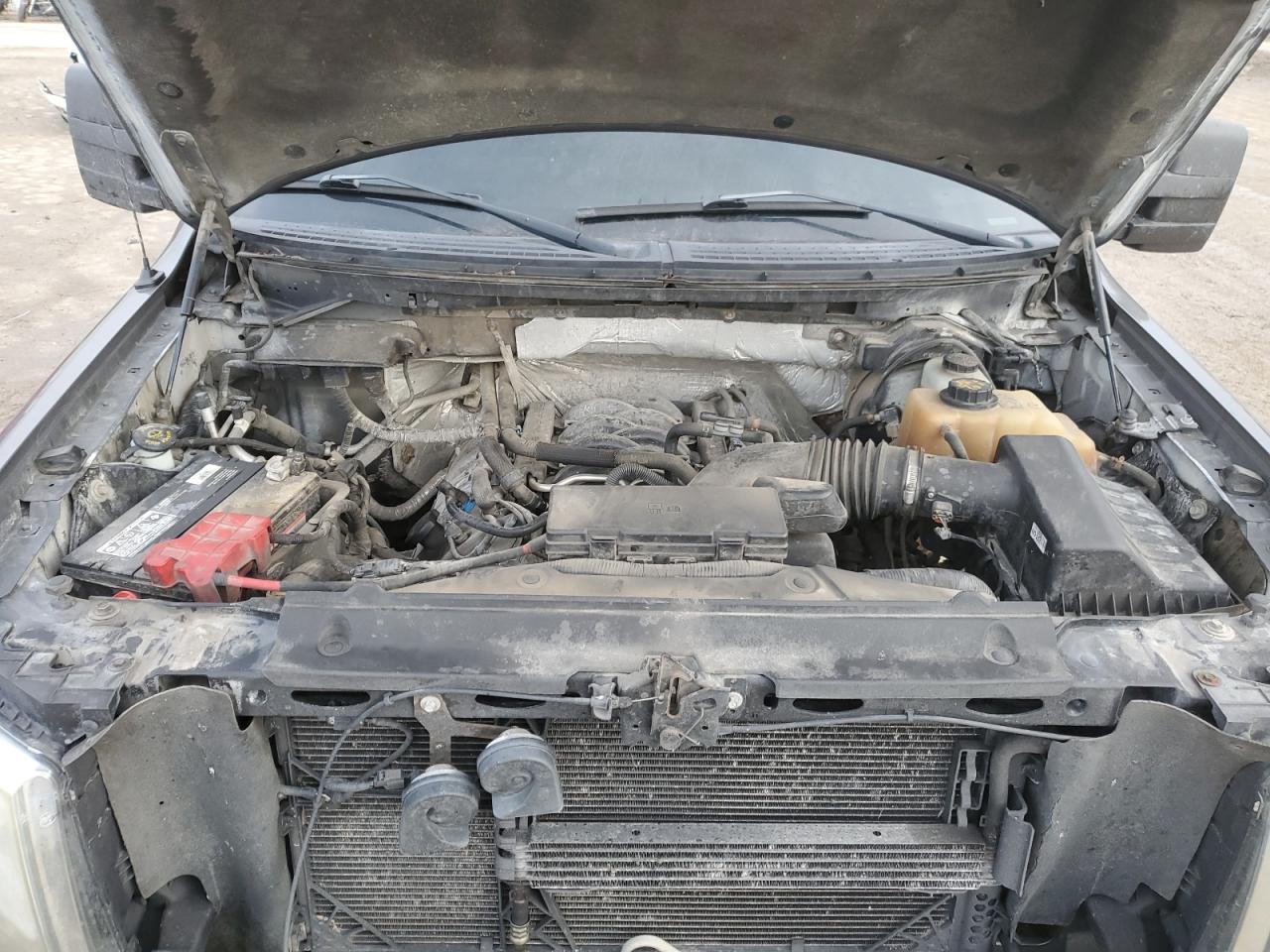 2012 Ford F-150 VIN 1FTFW1EF7CKD07797 Copart auction photo, side damage thumbnail 11