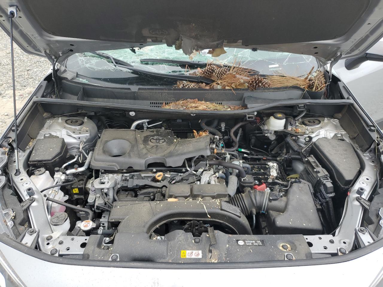 2021 Toyota RAV 4 VIN 2T3W1RFV4MW170961 Copart auction photo, all over damage thumbnail 12
