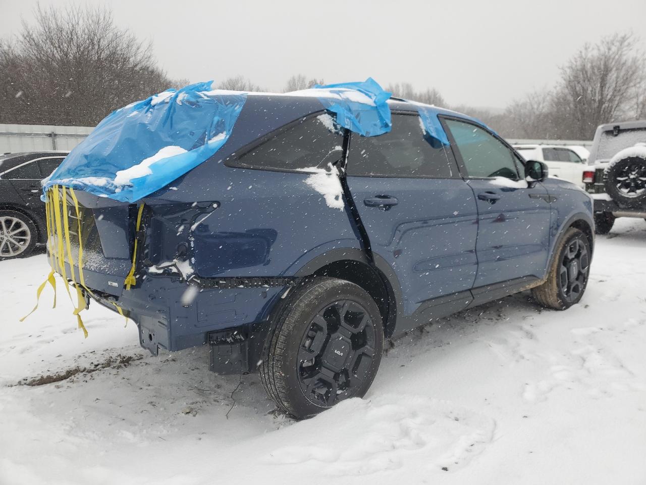 2024 KIA Sorento VIN 5XYRKDJF8RG293407 Copart auction photo, all over damage thumbnail 3