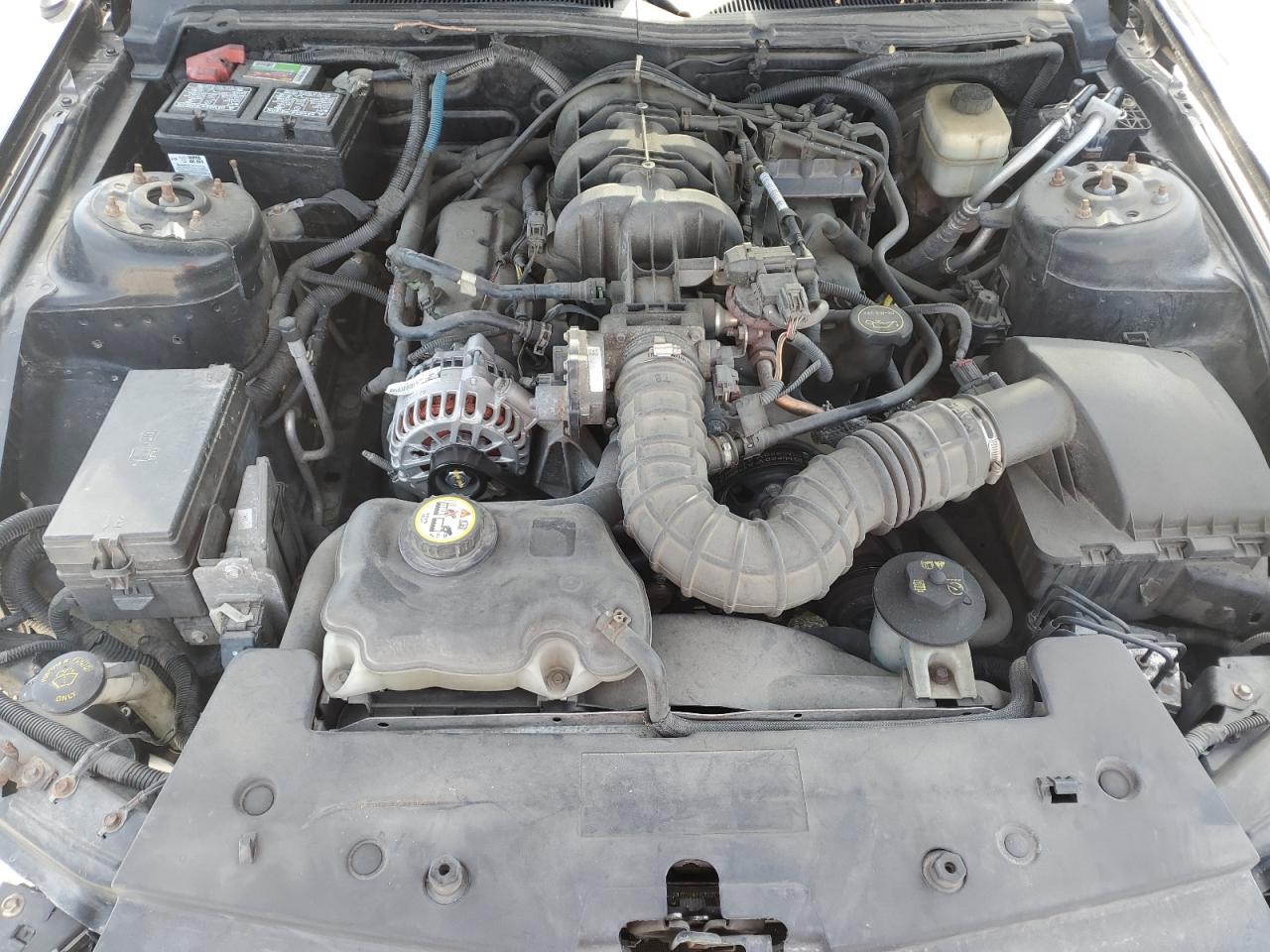2008 Ford Mustang VIN 1ZVHT80N385191008 Copart auction photo, front end damage thumbnail 11