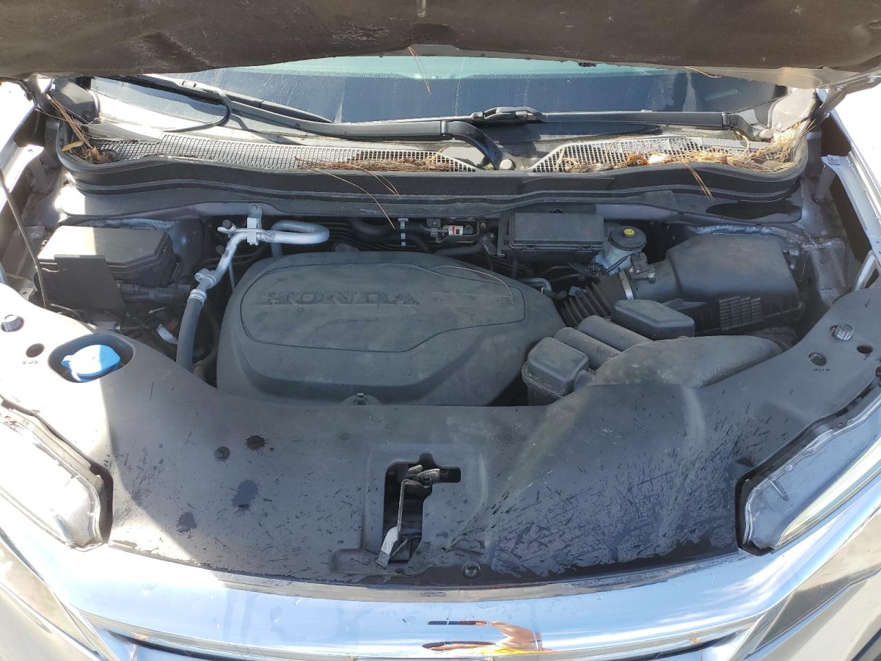 2021 Honda Pilot VIN 5FNYF5H30MB004991 Copart auction photo, side damage thumbnail 12
