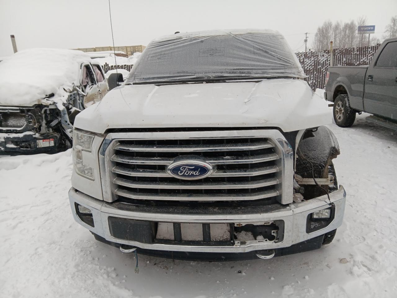 2017 Ford F-150 VIN 1FTEW1EP2HKC15895 Copart auction photo, side damage thumbnail 5
