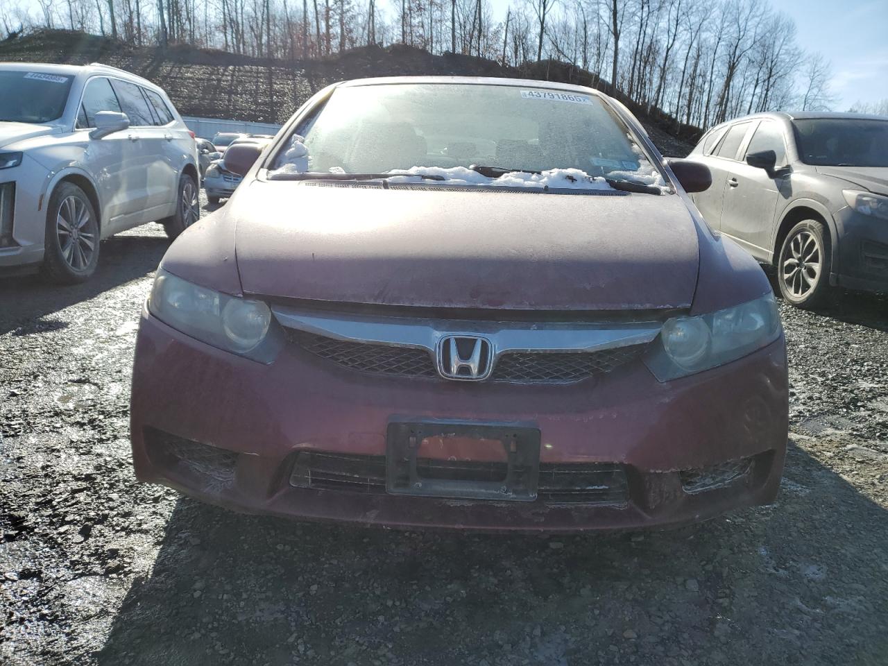 2009 Honda Civic VIN 2HGFA16659H541922 Copart auction photo, side damage thumbnail 5