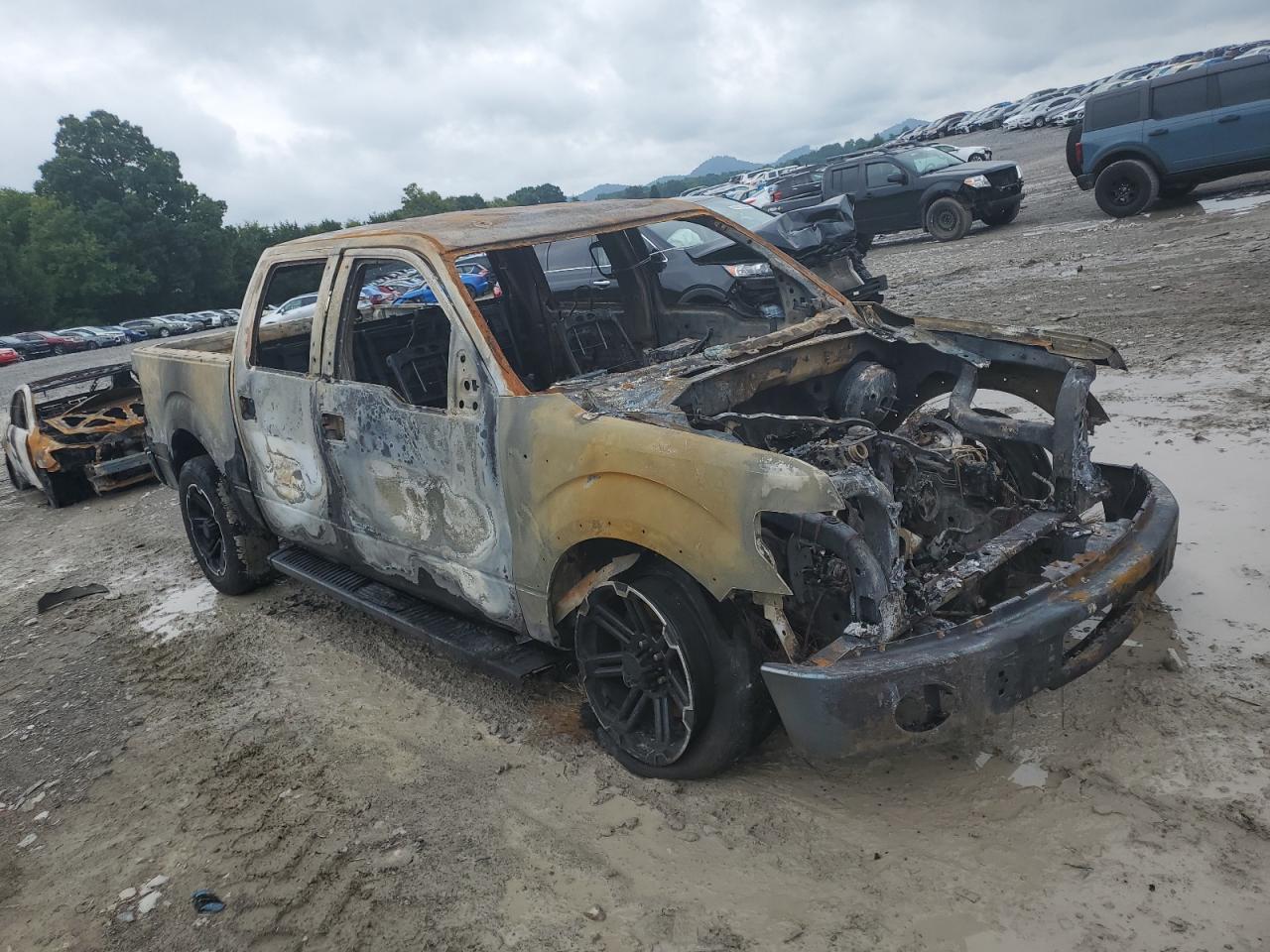 2010 Ford F-150 VIN 1FTEW1C81AKE53593 Copart auction photo, burn damage thumbnail 4