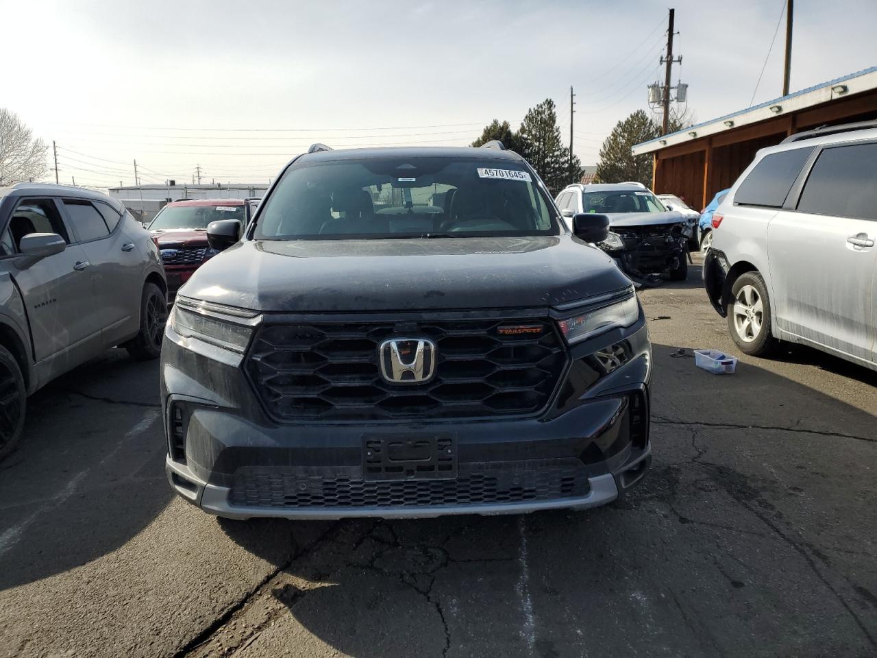 2024 Honda Pilot VIN 5FNYG1H63RB040262 Copart auction photo, side damage thumbnail 5