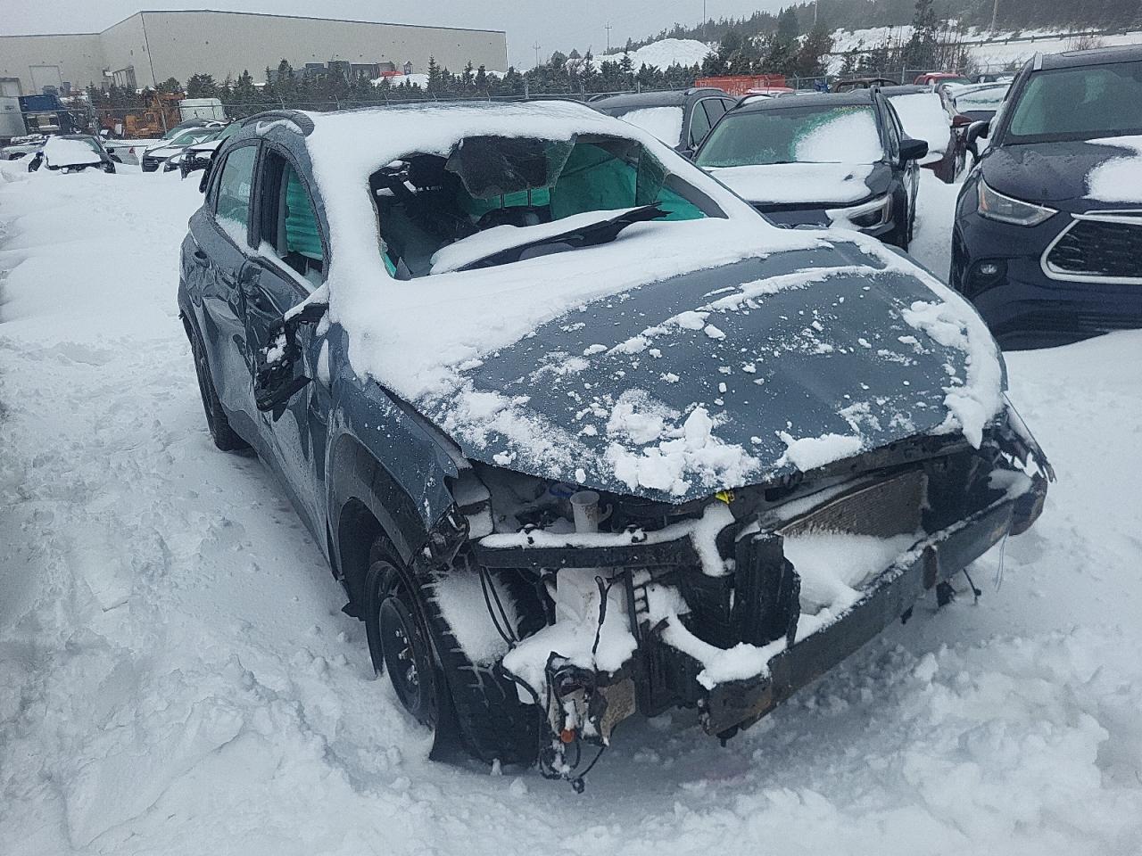 2023 Hyundai Kona VIN KM8K2CAB6PU944968 Copart auction photo, biohazard/chemical / all over damage thumbnail 4