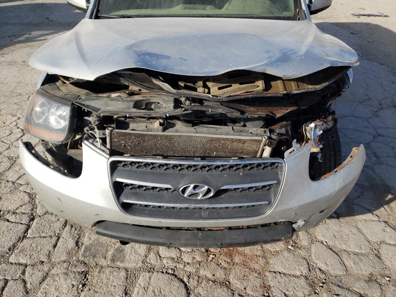 2009 Hyundai Santa Fe VIN 5NMSH73E69H314413 Copart auction photo, front end damage thumbnail 12