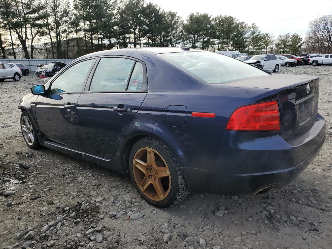 2006 Acura TL VIN 19UUA66206A042019 Copart auction photo, all over damage thumbnail 2