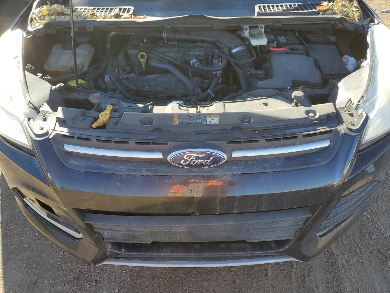 2013 Ford Escape VIN 1FMCU0GX6DUD50571 Copart auction photo, side damage thumbnail 12