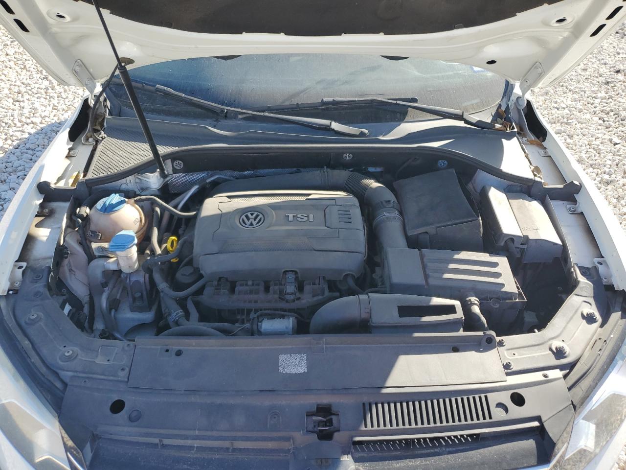 2014 Volkswagen Passat VIN 1VWAT7A35EC023113 Copart auction photo, side / minor dent/scratches damage thumbnail 12