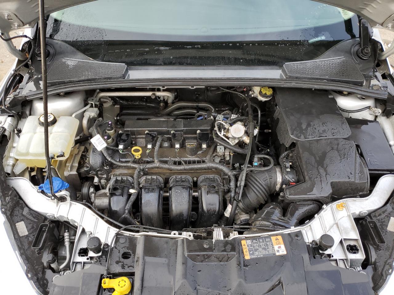 2016 Ford Focus VIN 1FADP3F20GL381435 Copart auction photo, side damage thumbnail 11